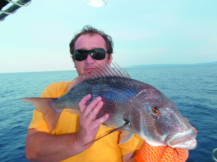 Da Graham a Terribile: traina d'altura tra i banchi pesce