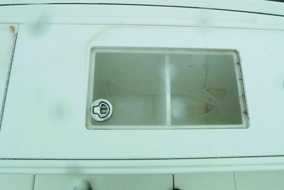 traina con l'esca viva