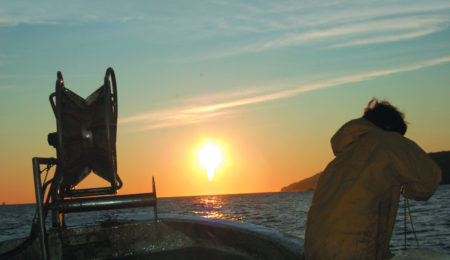 pesca al polpo con le anforette