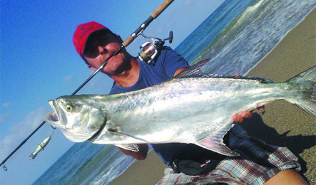 spinning quelle esche miracolose