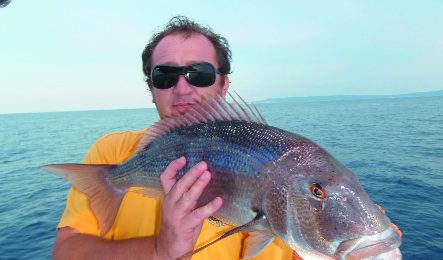 Da Graham a Terribile: traina d'altura tra i banchi cover