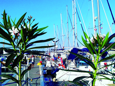 Porto delle grazie