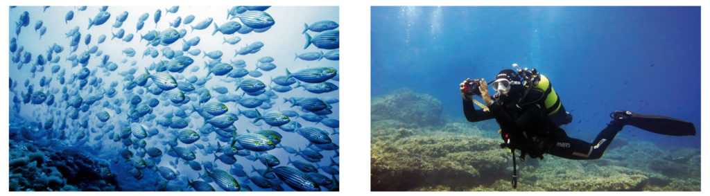 golfo dei poeti immersioni