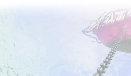 Come scegliere la catena dell'ancora