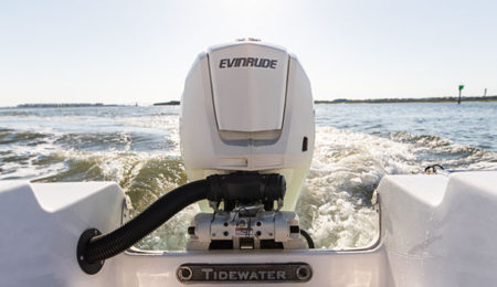 evinrude e-tec g2