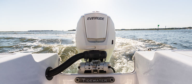 evinrude e-tec g2