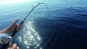 Un’altura catch & release 