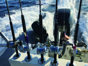 Un’altura catch & release 