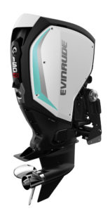 evinrude 150 cv