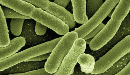 sanificazione acque chiare