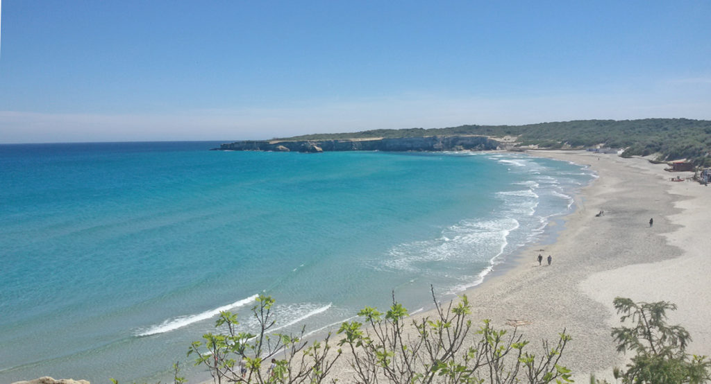 torre dell'orso