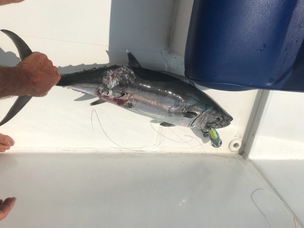 Pesca ai Caraibi