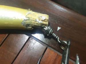 dente-di-squalo