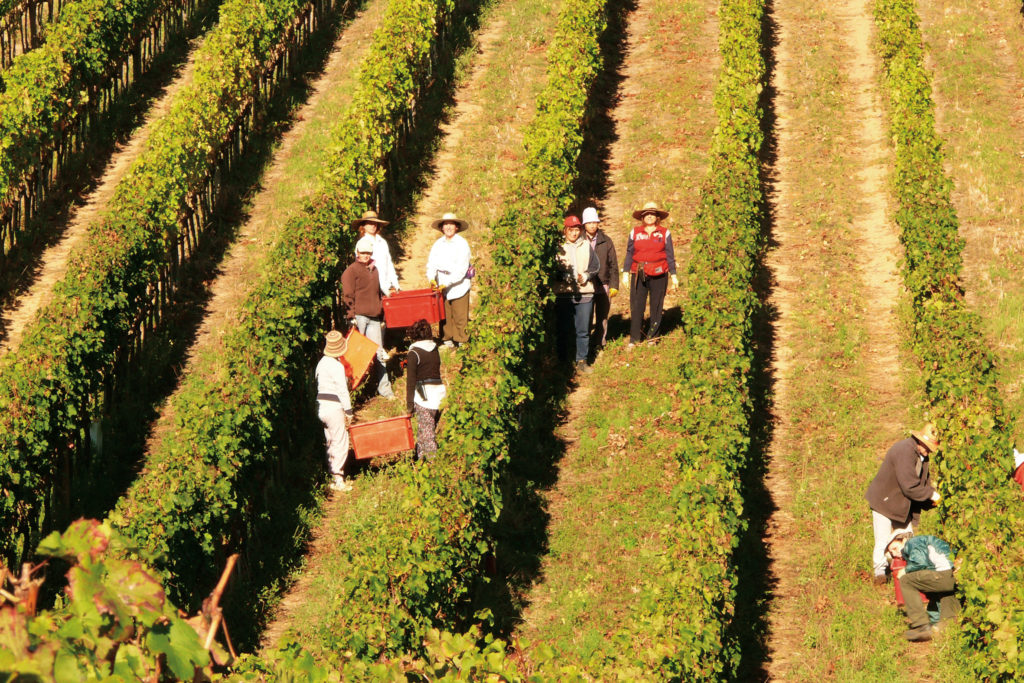 Villa Tirrena Wine Resort