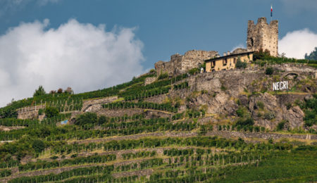 Nino Negri