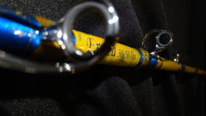 drifting al tonno rosso