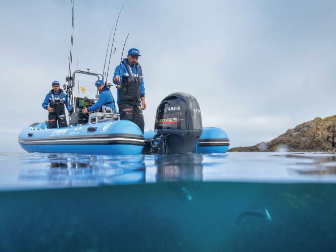 Intervista ad Alessandro Russo, nuovo Marine Division Manager di Yamaha Marine Italia