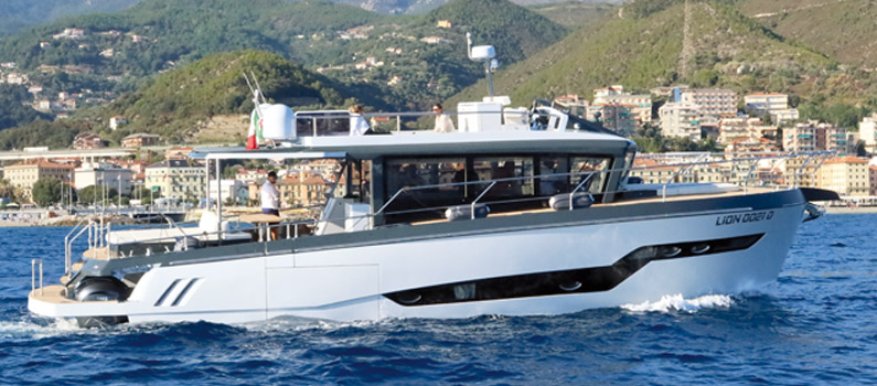 Lion Yachts Evolution 6.0