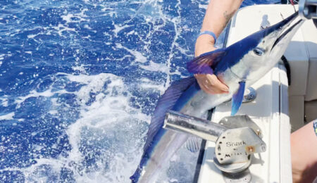 pesca-in-altura
