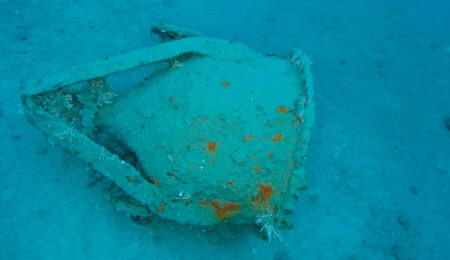 ROV