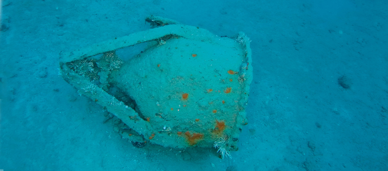 ROV