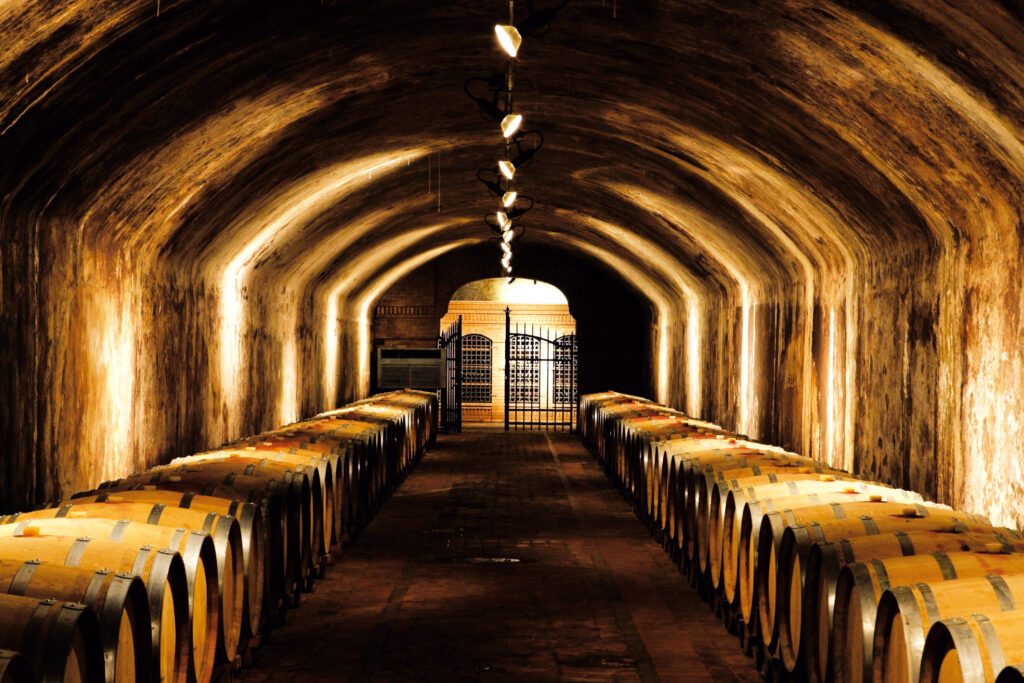 Castello-di-Spessa-cantina