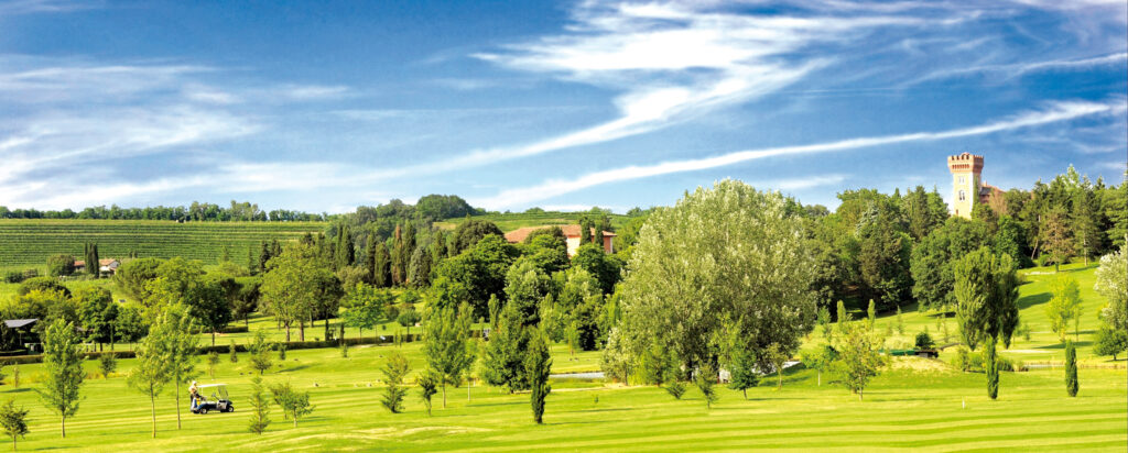 Castello-di-Spessa-vigneti