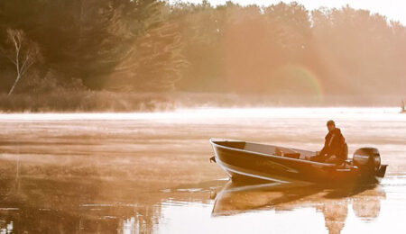 comprare fuoribordo mercury online