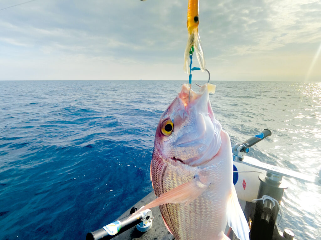 Autocostruzione-verticale-pesce-in-amo