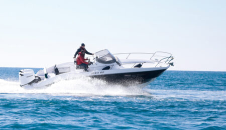 idea marine 80 motore honda bf 150D