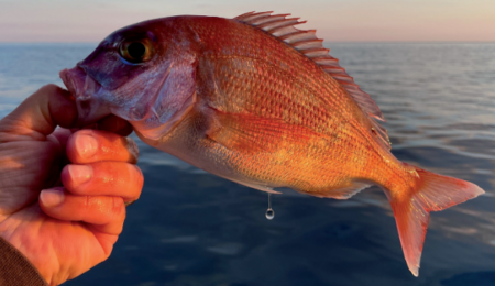 Pesca sportiva passione Santa Margherita Ligure