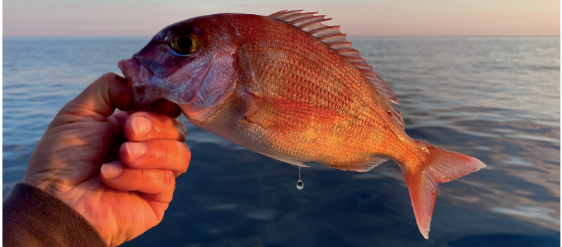 Pesca sportiva passione Santa Margherita Ligure