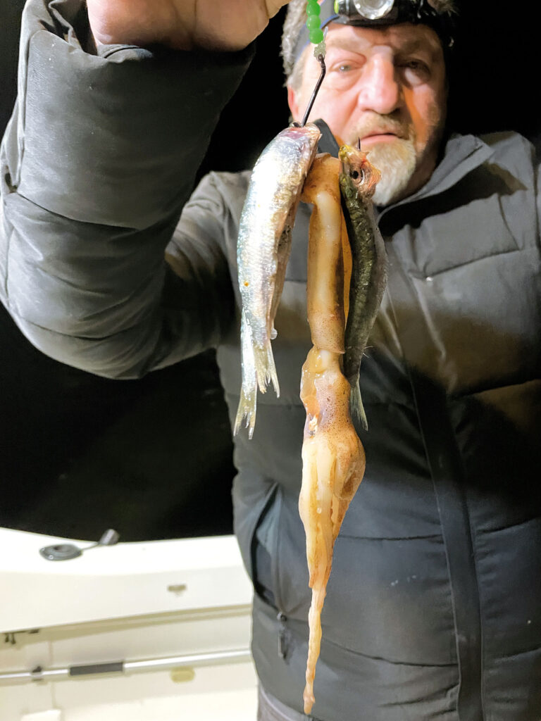 pesca sui relitti-pesce-calamaro