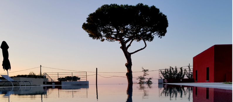 albergo la vigna procida