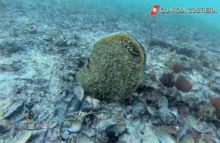 Pinna Nobilis