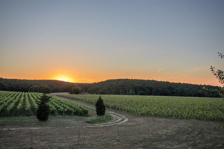 montepulciano-podere-casanova