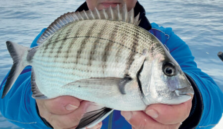 light-drifting-attrezzature