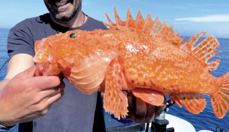 a-pesca-di-scorfani
