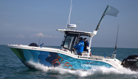 lowrance-fipsas-cover