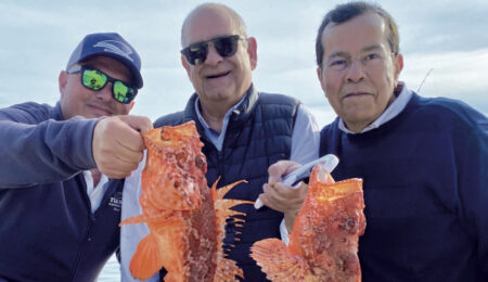 tenya fishing vertical jigging