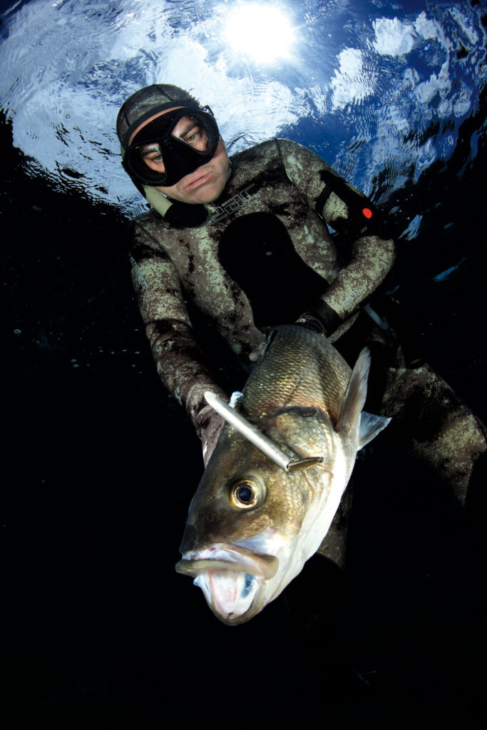 Pesca nel torbido Storelli