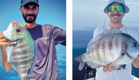tanute vertical pesca
