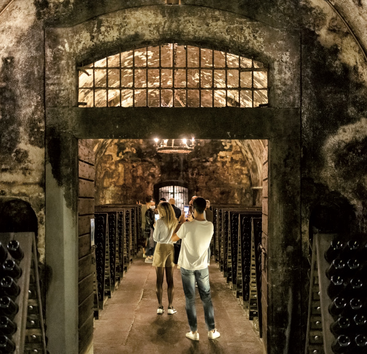 Tour cantine Berlucchi