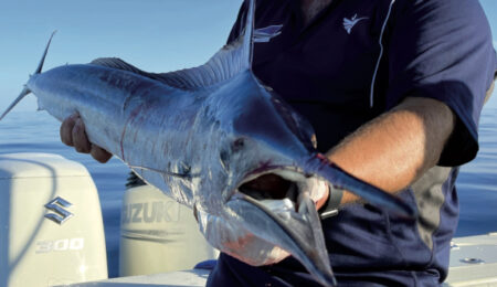 strumentazione-elettronica