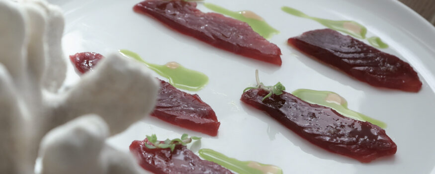crudo di palamita