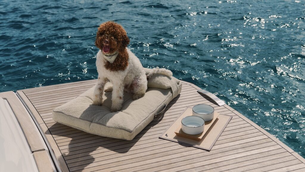 Poldo Dog Couture il kit con Pardo Yachts sulla spiaggetta.jpeg