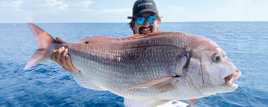 Traina col vivo profonda