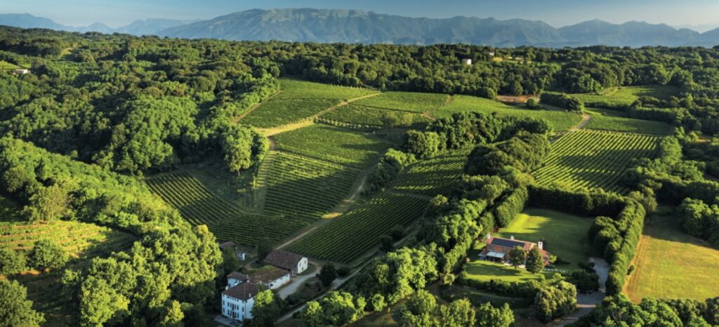 Montello Venegazzù