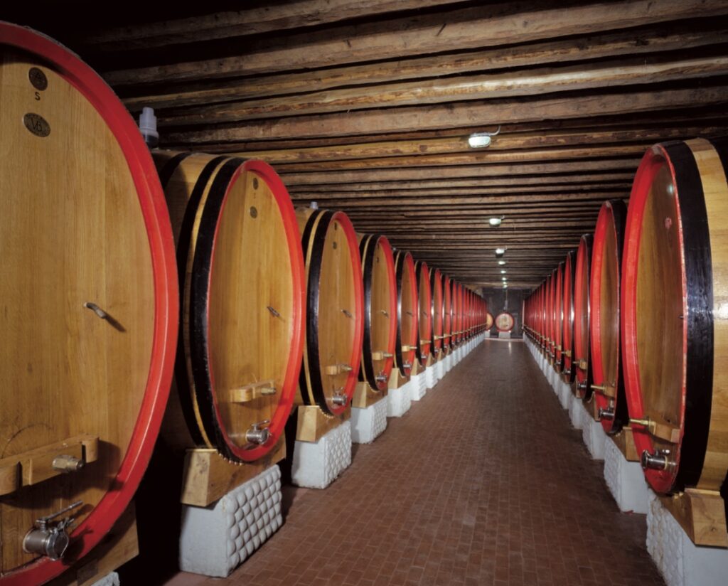 bottaia vini