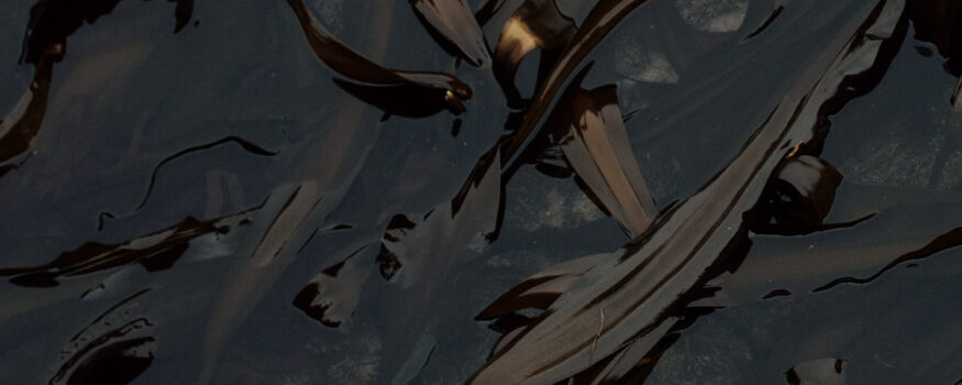 D.Lgs. 141/2024 accise